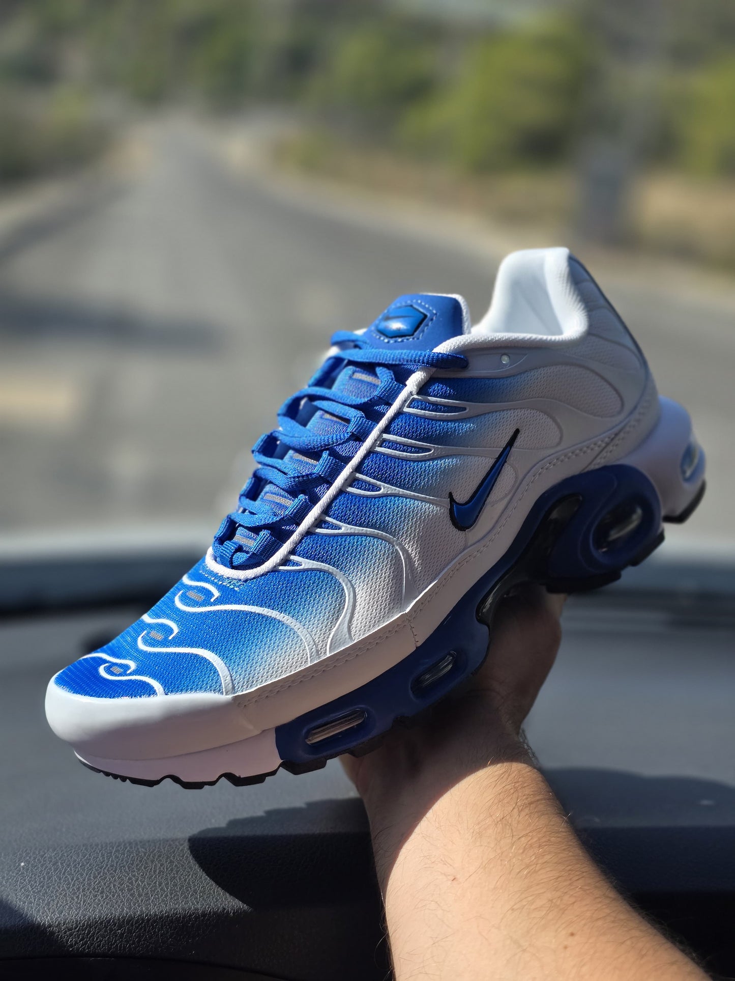 TN (Varios Colores)