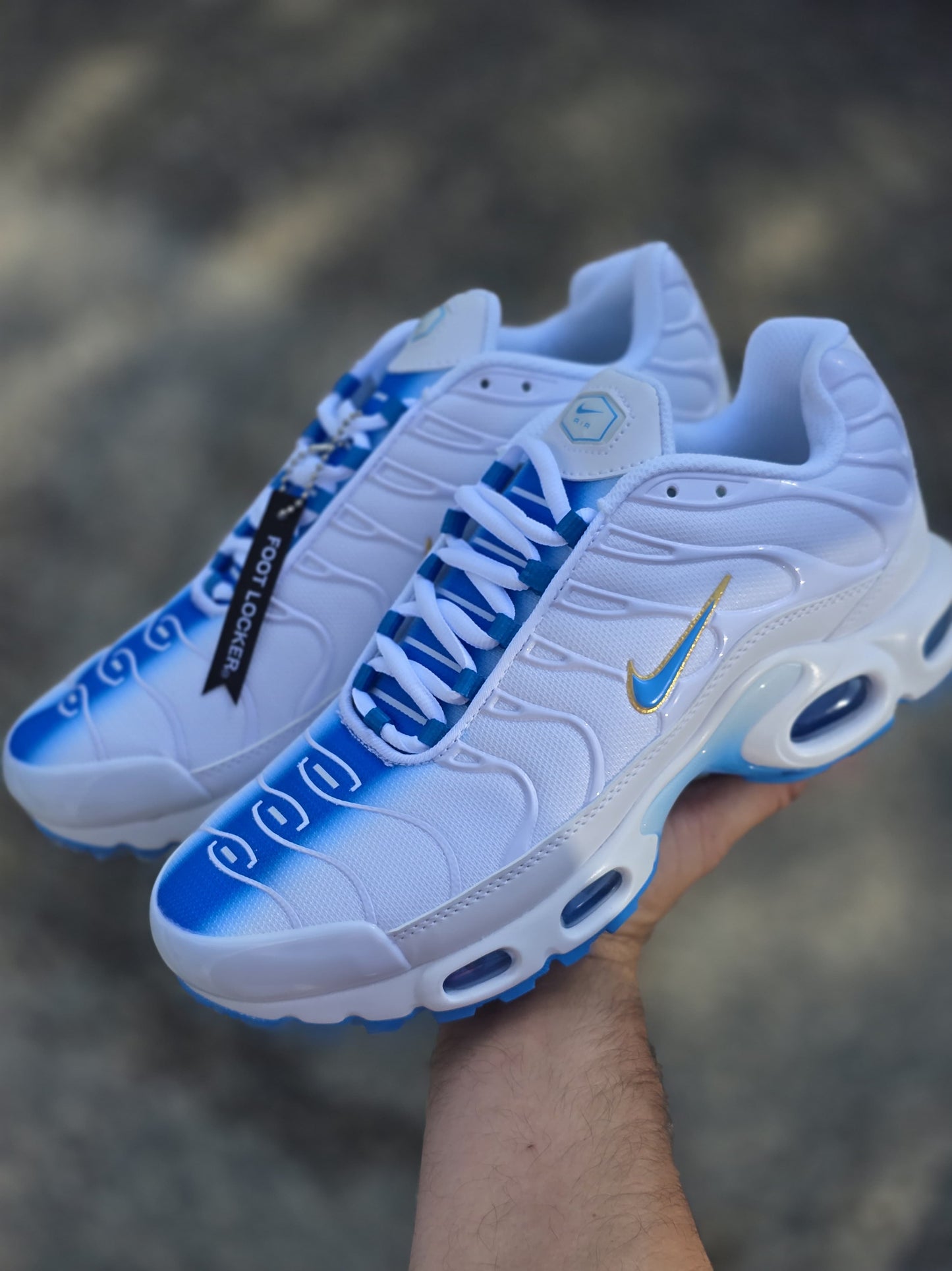 TN (Varios Colores)
