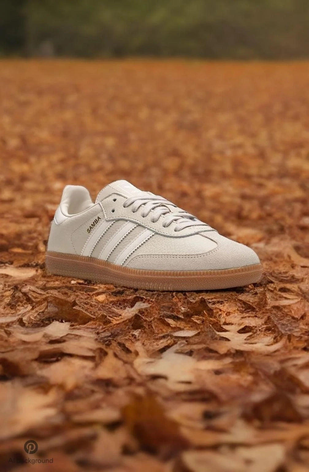 Adidas Samba (Varios Colores)