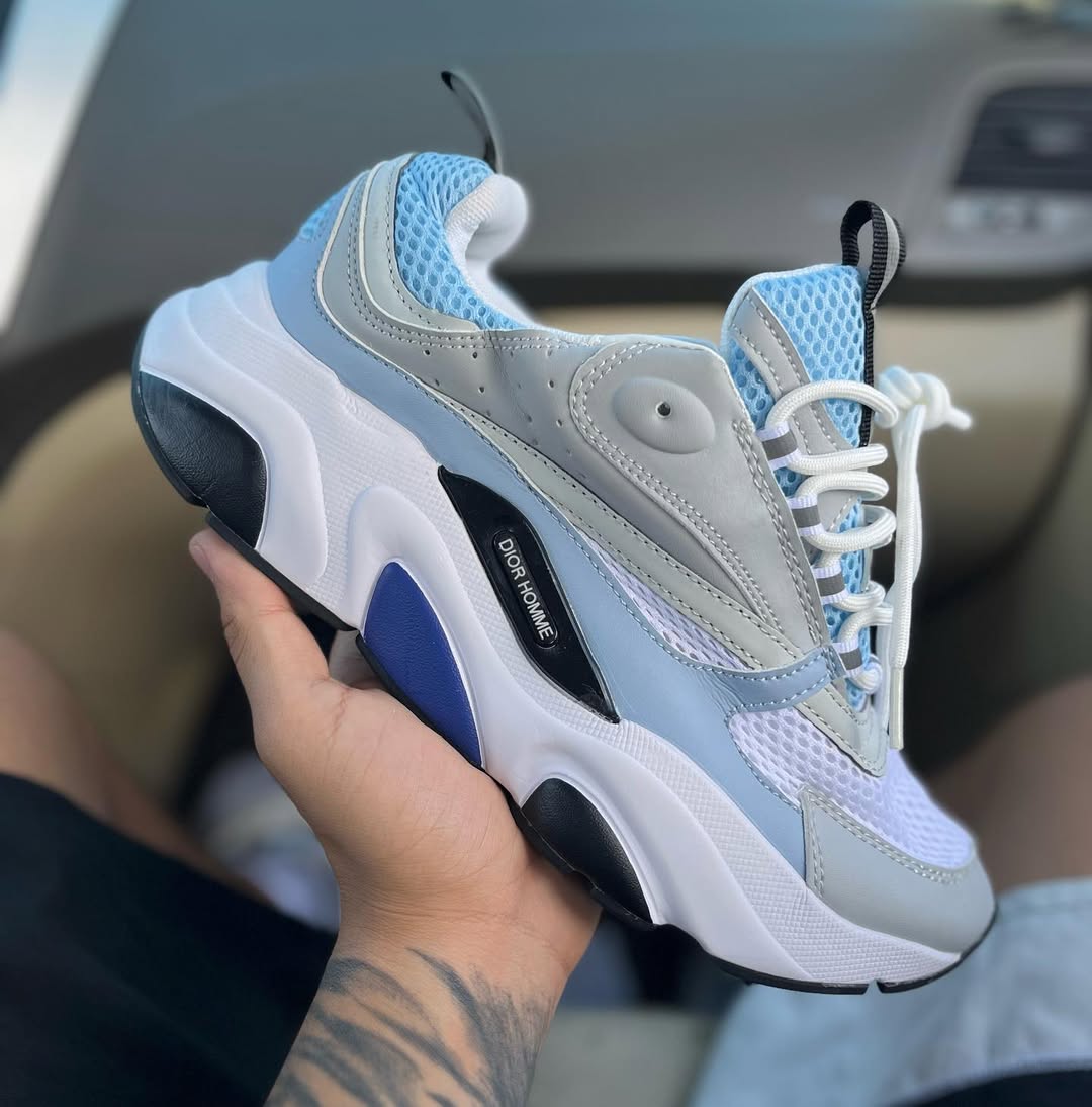 Dior B22