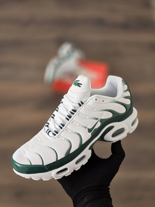 TN Lacoste edición especial