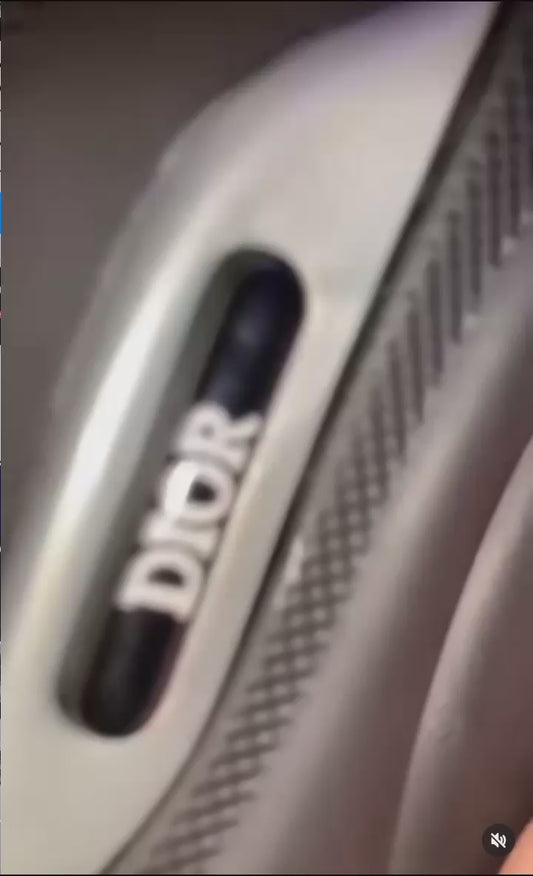 Dior B22